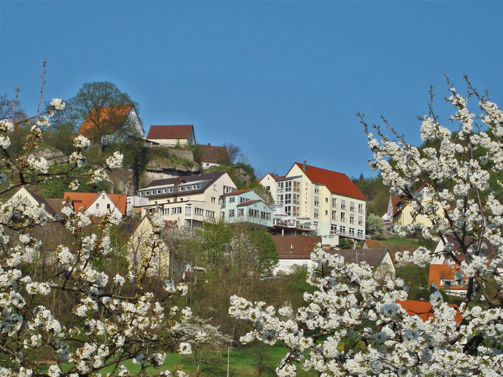 Berggasthof Hotel Igelwirt Schnaittach Exteriör bild